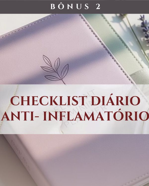 Bônus 2 - Checklist Diário
